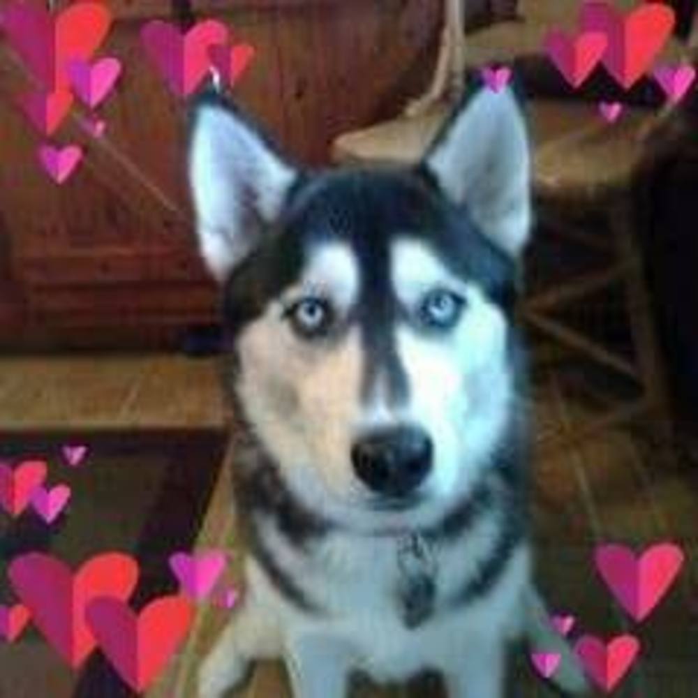 Meet your Posher, Matt